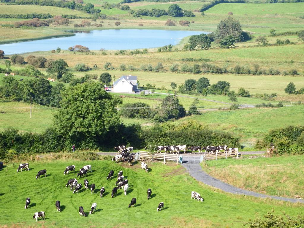 Coach House Hotel Sligo Ballymote Kültér fotó